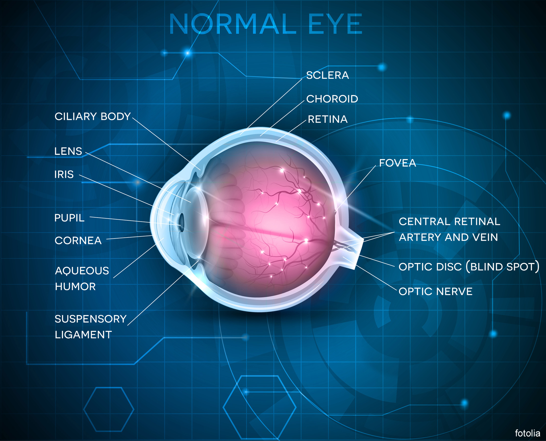 IMPLANT INFORMATION about Eye Implants – THE IMPLANT REGISTER