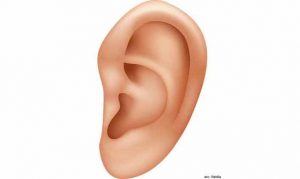 EAR IMPLANTS