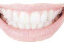 dental oral